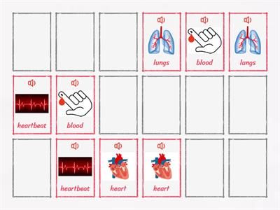 Kid's Box 3 Unit 3 - Science: The heart vocab (matching pairs)