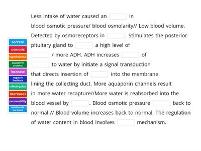 Discuss why urine becomes more concentrated and less when someone drinks less water