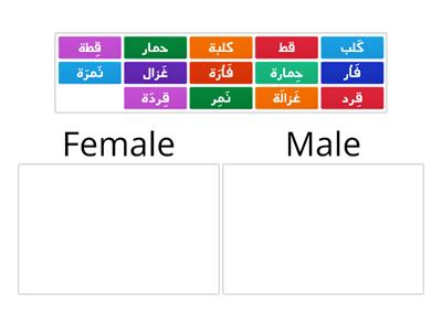  Male and female animals Year 2