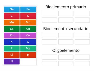 Bioelementos primarios y secundarios