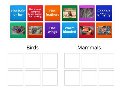 Mammal vs. Birds 