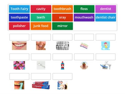 Dentist Vocabulary