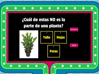 ¿Qué tanto aprendiste sobre las plantas?