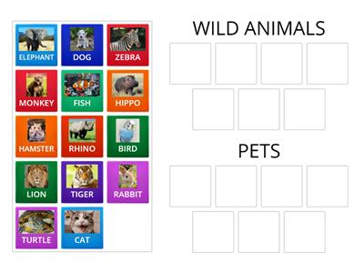 METRO 1 - L22 - Wild Animals x Pets