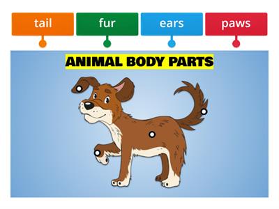 Animal Body Parts 2