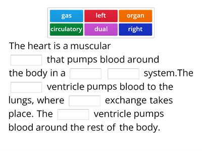 Circulatory system missing words