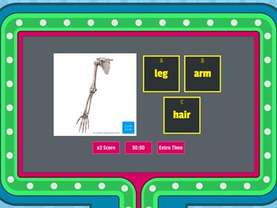 idiscover body parts