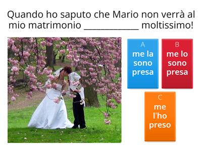 Verbi Pronominali 