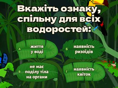 Водорості  6 клас