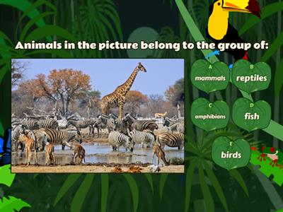 ANIMAL GROUPS (vertebrates): vocabulary