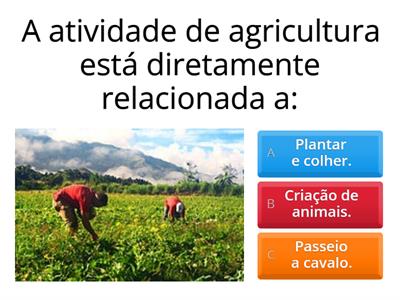 Agricultura, pecuária e extrativismo.