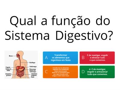  Sistema Digestivo