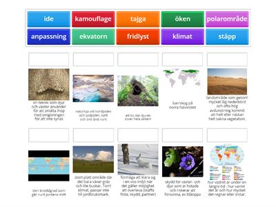 Anpassningar i naturen biologi åk 6