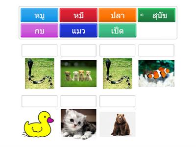 รูปสัตว์