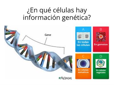 Iniciando 1°M / Diagnostico