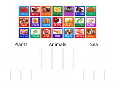 Food sources:  is it a plant, an animal, or from the sea?