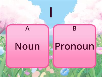 Noun or Pronoun?