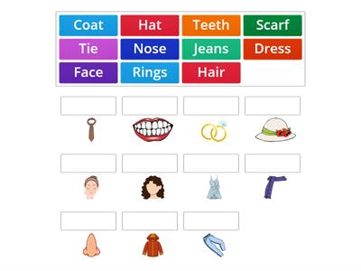 Body parts, clothing items and accessories 