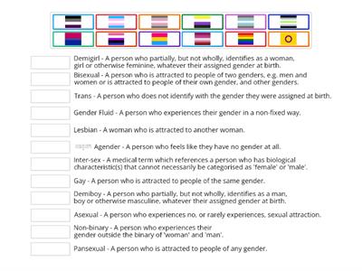 LGBT+ Flag Matching Game