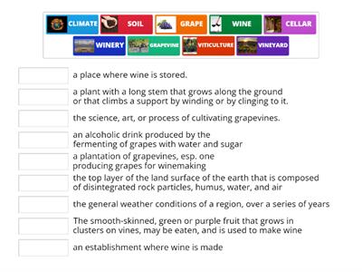 Wine Language - What do we mean when we say...?