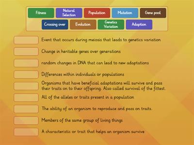 Evolution & Natural Selection