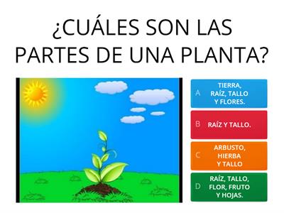  LAS PLANTAS PRIMER GRADO🌱