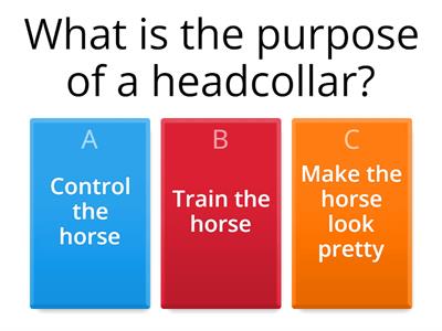 Basic Horse Tack Quiz