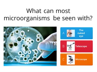 Y6 - Microorganisms Quiz 