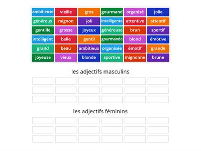 Adjectifs masculin/féminin