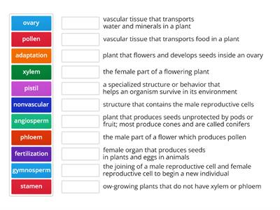5_Plant Reproduction and Adaptation