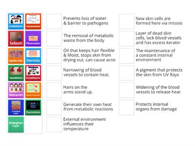 Excretion Matching Exercise