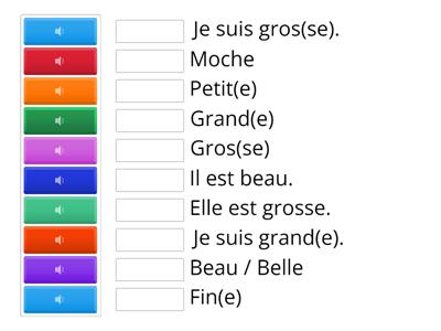 CE1 - Les adjectifs en anglais à l'oral