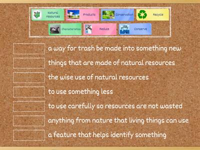 Natural Resources Vocabulary (Grade 3 Science)