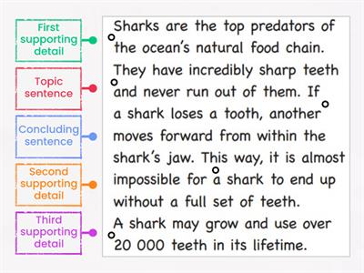 Paragraph Structure - Sharks