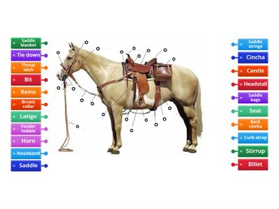 Horse tack