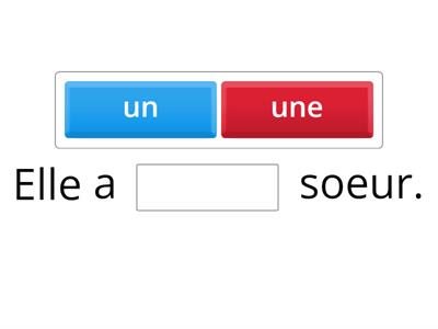 Complètez avec le bon article indéfini.