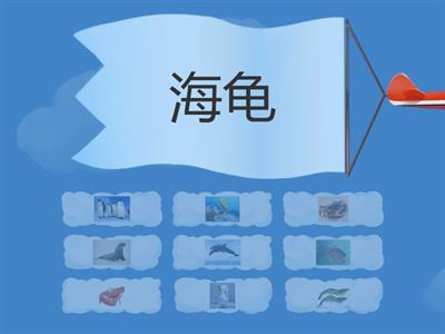 quiz 海洋动物