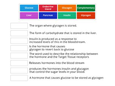  Endocrine system - blood sugar.