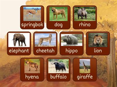 Guess the African Animal (Describing Game)