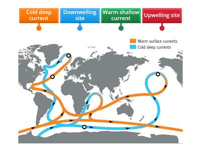 Global Ocean Conveyer Belt