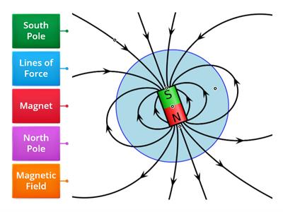Label the Magnetic Field