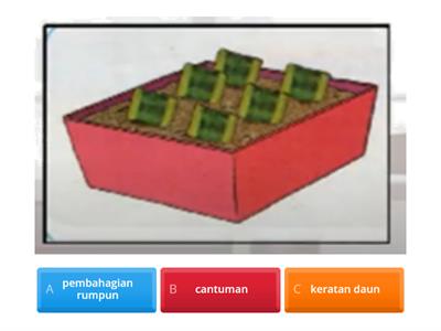  KAEDAH PEMBIAKAN TANAMAN HIASAN - KERATAN BATANG, KERATAN DAUN, ORGAN TUMBUHAN