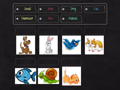 Animals vocabulary PETS