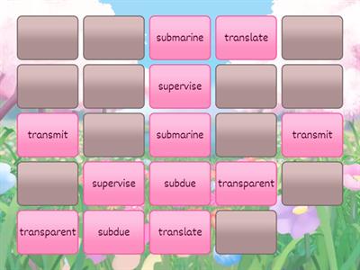 Amber Guardians Book 6 memory game - sub-, super-, trans- prefixes