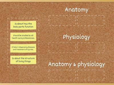 11.1- Anatomy or physiology?
