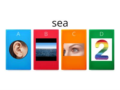 Homophone Match 1 - sea, see, two, too, hear, here, for, four, bye, buy.