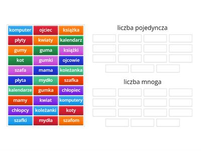 liczba pojedyncza i liczba mnoga_kjp