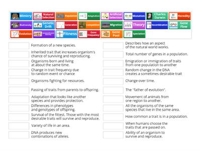 Vocabulary Practice: Mechanisms of Evolution