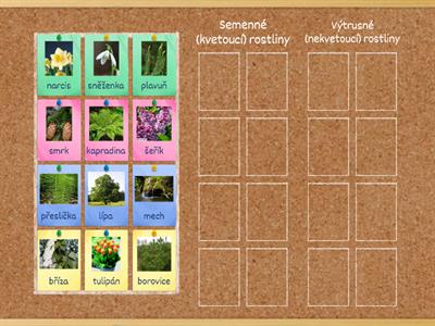 Přírodověda 4. ročník - Rostliny výtrusné a semenné