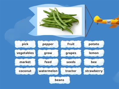 UNIT 8- vegetables and fruit